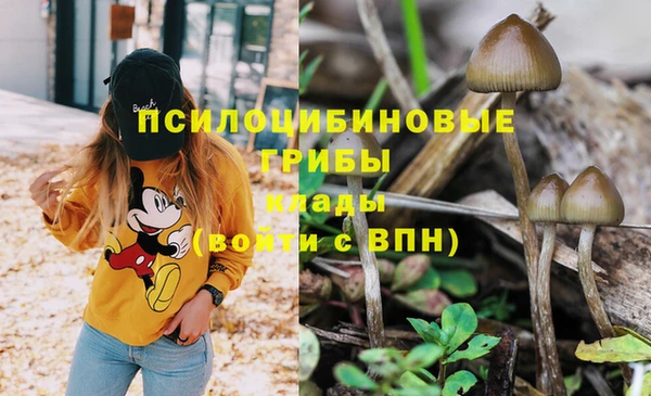 a pvp Армянск