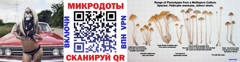 mega ссылка  это клад  Пущино  Галлюциногенные грибы Cubensis  купить закладку 