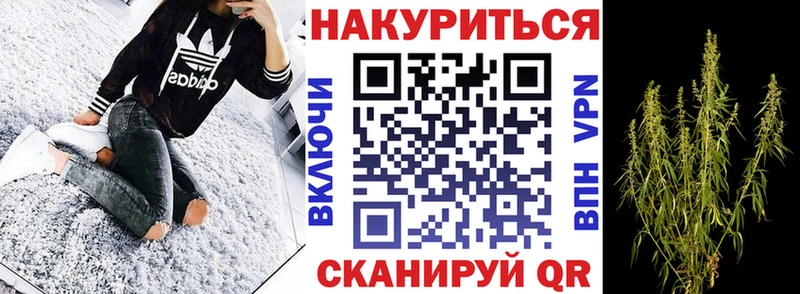 Каннабис MAZAR  цены   Пущино 